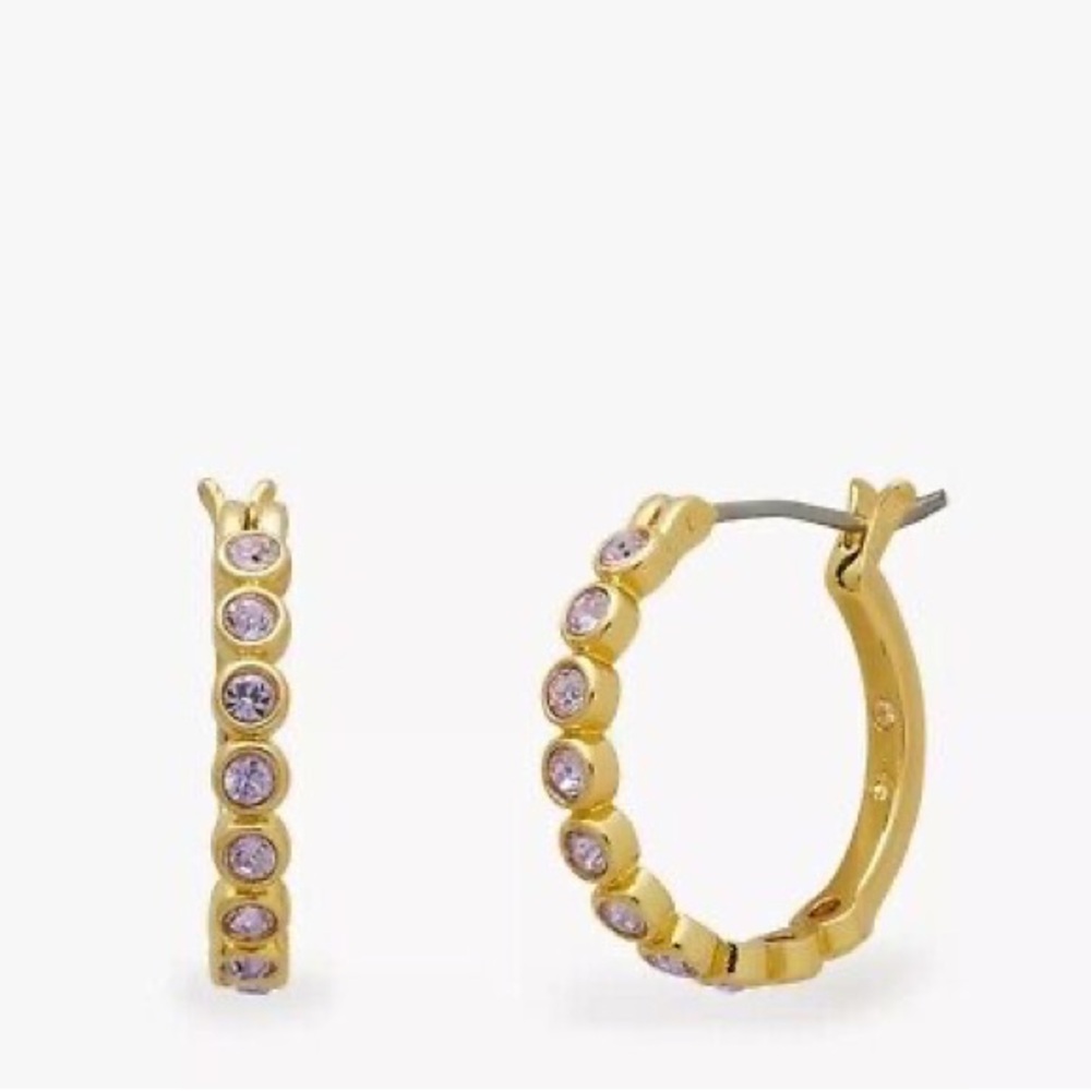 NWT Kate Spade | Full Circle Hoop Earrings in Gold/Amethyst